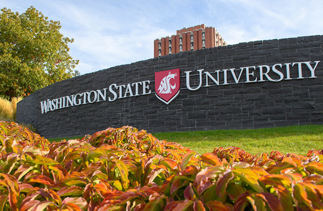Washington State University Offers Mindfulness-Based Stress Reduction Classes This Summer