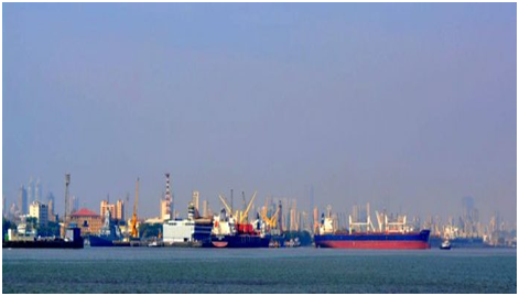 Larger container lines drive operational gains from ‘own terminals’ in India