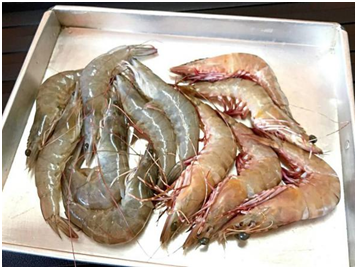 Vizag Port emerges top port for seafood exports