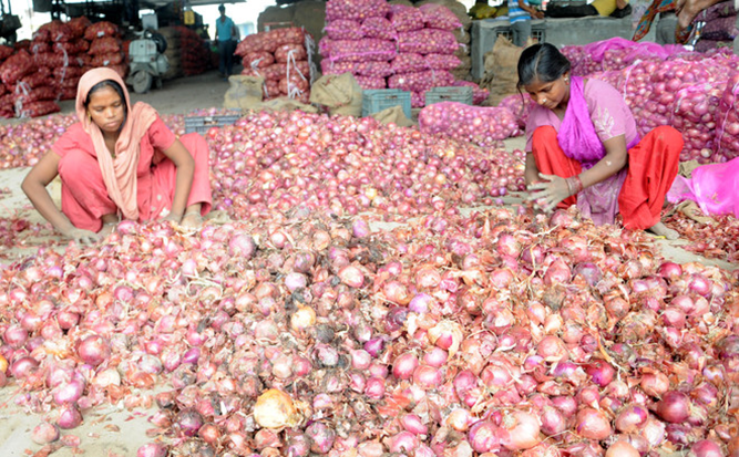 Onion prices surge in India amid supply shortage