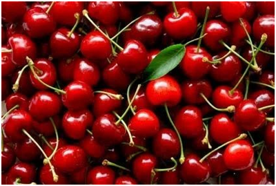 Erratic weather impacts Kashmir cherry production