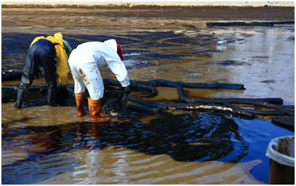 Oil spill clean-up making progress in Singapore