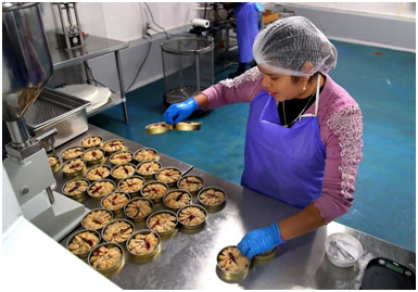 Island Creek Oysters launches its cannery of tinned seafood