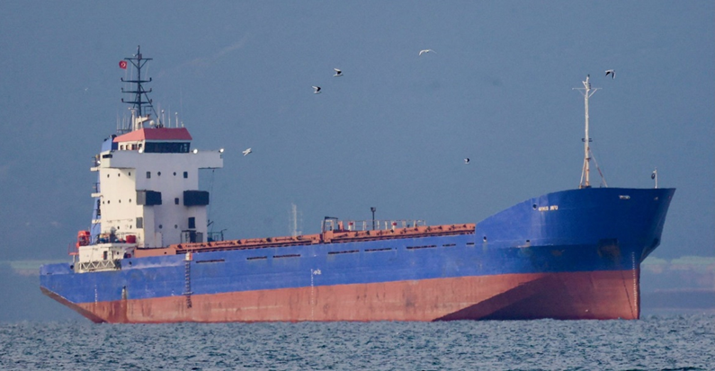 Ukraine Seizes Cargo Ship, Detains Captain for Exporting ‘Looted’ Grain