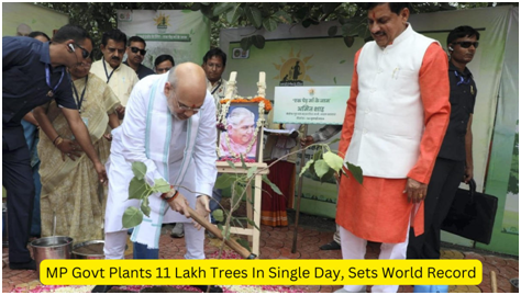 MP Govt Plants 11 Lakh Trees in a Single Day, Sets World Record
