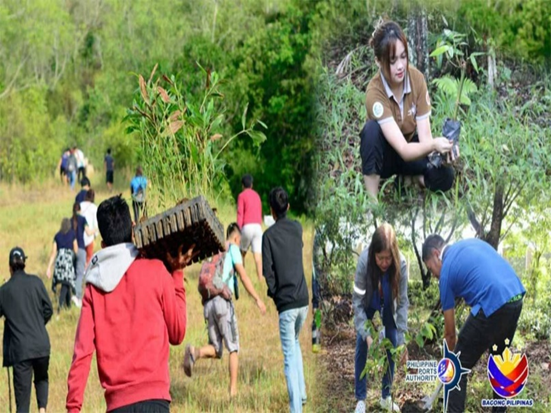 PPA plants 12.3 million trees in greening initiatives