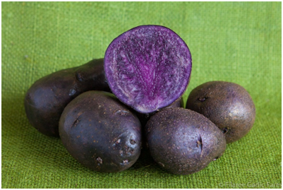 India introduces first purple-fleshed potato variety