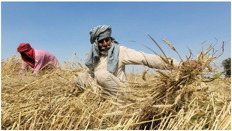 Seeding farm growth in climate-crisis era