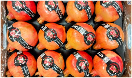 India's APEDA-certified pomegranates debut in Australia 