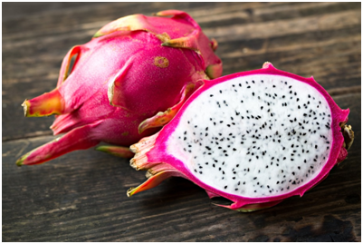 Drought-resistant dragon fruit cultivation in Dharmapuri