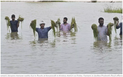 India receives 14% surplus rains in first half of September 