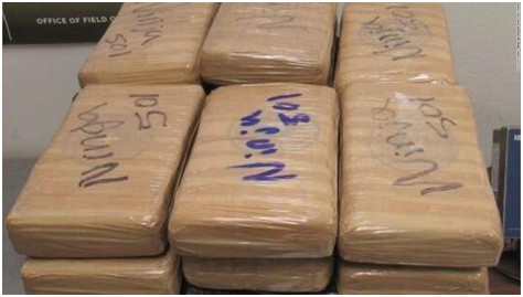 $500,000 cocaine find in avocado shipment at US-Mexico border