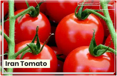 Iran's tomato exports reach $207 million in six months