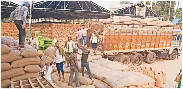 Wheat sowing a week away, Punjab sees only 22% paddy harvesting