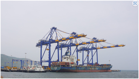 Adani Gangavaram Port achieves a new record in timber log handling