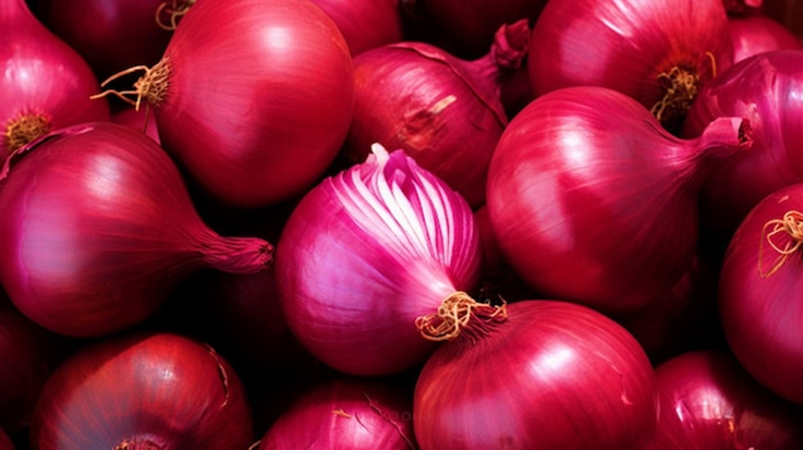 Onion prices in India set to drop as fresh kharif crop arrives