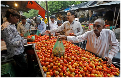 Retail tomato prices drop 22.4% on improved supplies