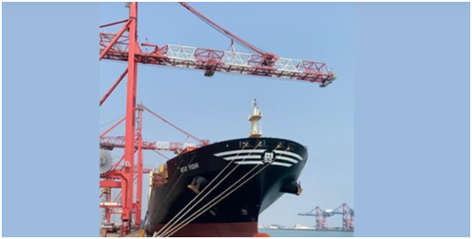 For The First Mainline Direct Call to Europe from VOC Port in Twenty Years, The MSC Ship Docks At DBGT