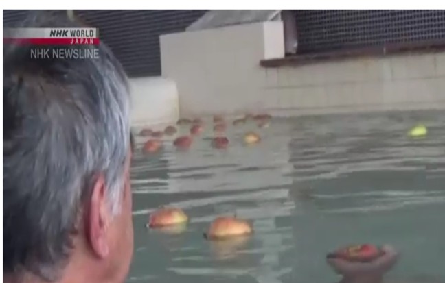 Hot spring inn offers 'apple bath' in northern Japan