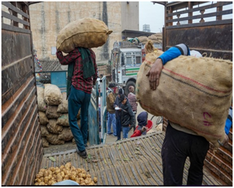 Potato traders threaten strike from Tuesday if West Bengal doesn't allow selling to other states