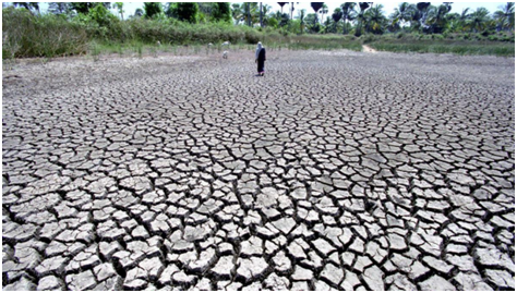 More than 77% of earth's land became drier in last 30 years: United Nations report