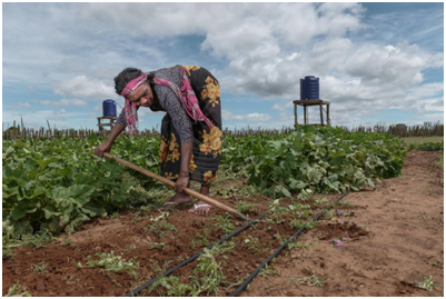 International Soil and Water Forum opened in Bangkok to tackle water scarcity and soil degradation