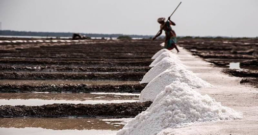 MoPSW to purchase more than 5,000 acres of Maharashtra salt pan property