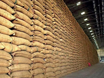 Govt rice procurement up 5% in Oct-Feb 2024-25